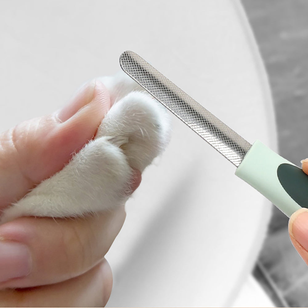 Fullt hundkit med 3 olika borstar, tandborste, nagelklippare och 2 saxar.