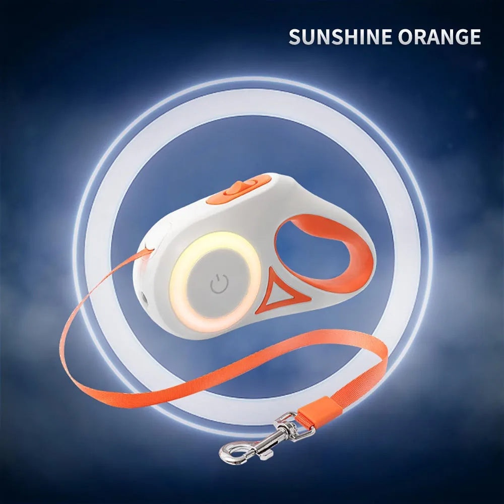 Hundkoppel med ledlight