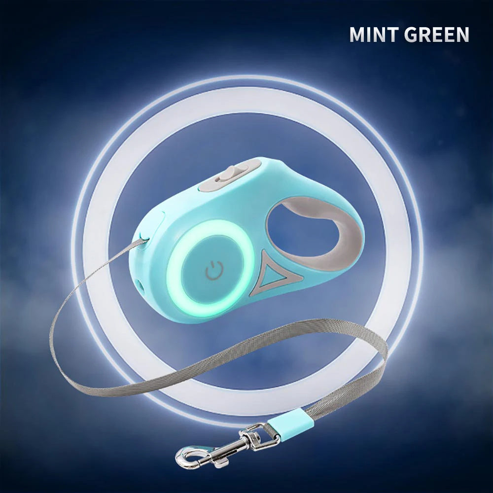 Hundkoppel med ledlight