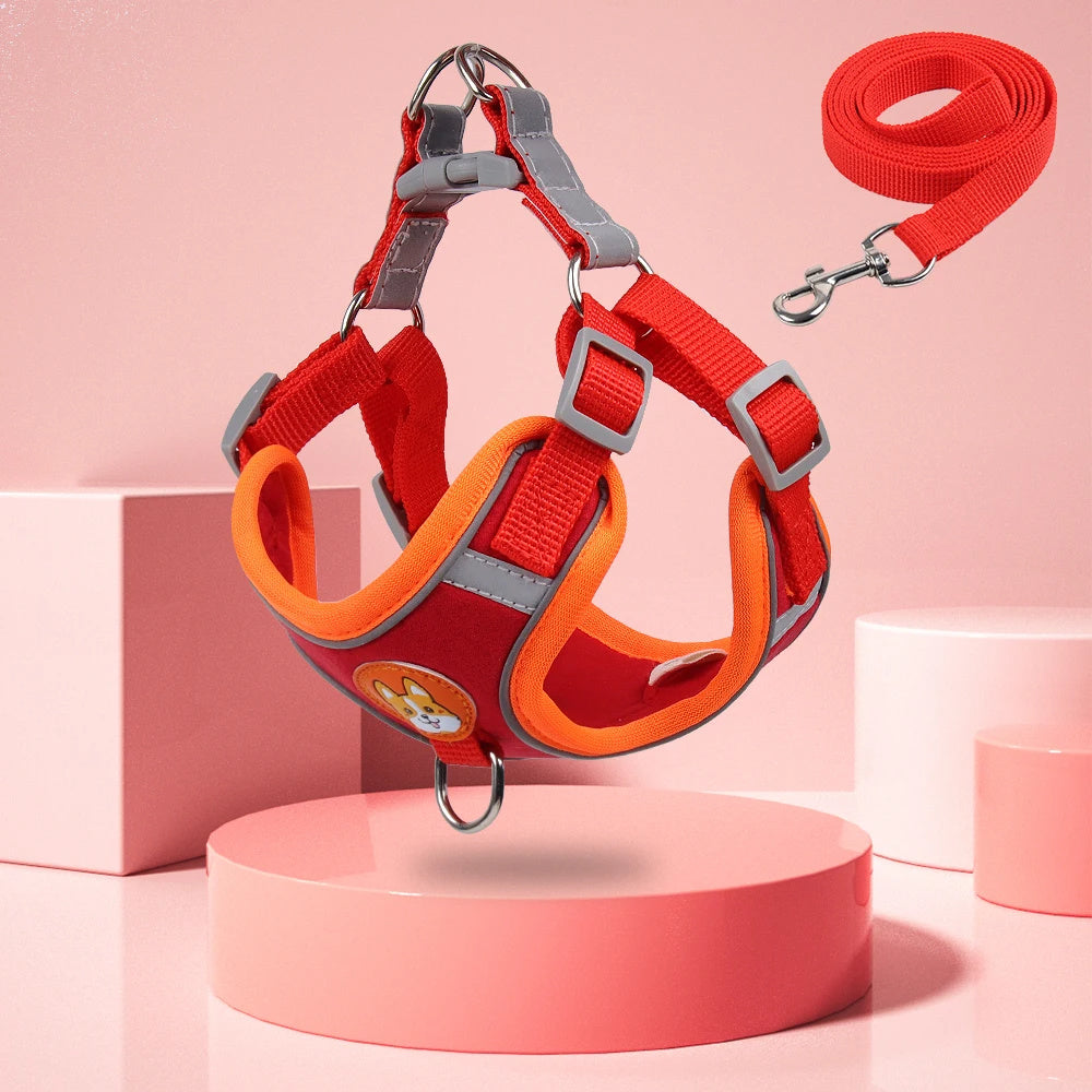 Hundsele med reflexer